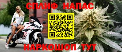 шишки Заволжье