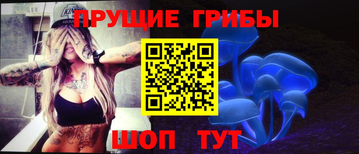 Псилоцибиновые грибы мицелий  Псилоцибиновые грибы прущие грибы  Вход с VPN  Миллерово 