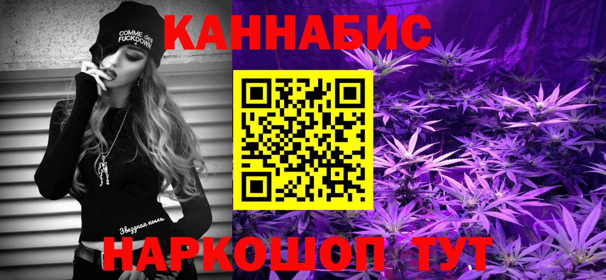 Конопля сатива Миллерово